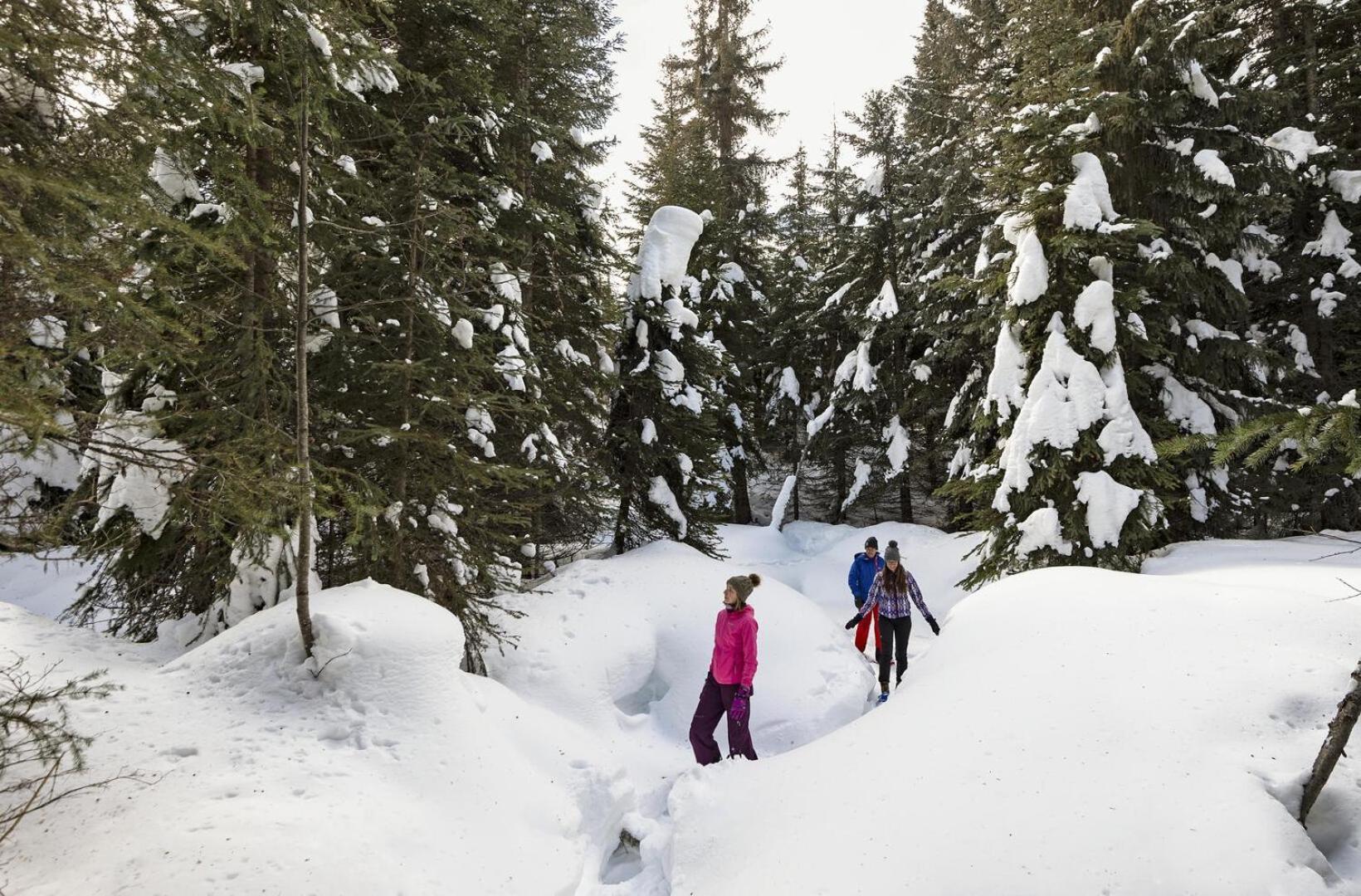 Fireside Lodge #409 By Bear Country Sun Peaks Exterior foto